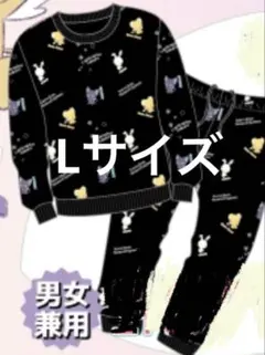 Item thumbnail for item 11e35267-008c-4f28-a56b-d0cbd340db7c