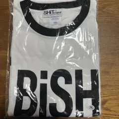 Item thumbnail for item a64ba54d-9d03-4c39-a551-87f8b99fb7d3