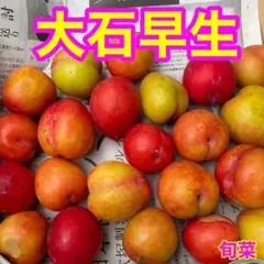 ☆和歌山県産[紀州南高梅]1キロ L〜2L最高級品種！！木成り完熟