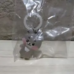 ZEROBASEONE zeroni ガチャ　めじるしアクセサリーゴニニ ゴヌク