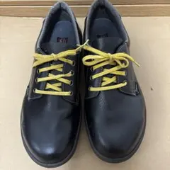 Item thumbnail for item 11b141b9-456c-4fee-8924-3bbd34c0faf2