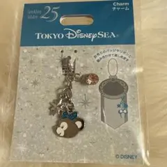 東京ディズニーシー 25周年 チャーム　新品