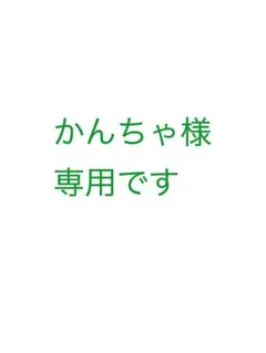 ✨値下げ　パタゴニア　パープル フード付き ダウンジャケット　サイズXS