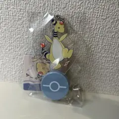 ポケモンセンター デンリュウ　光る！アクリルチャーム トウキョーベイ