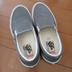 VANS SKATE SLIP-ON PEWTER/WHITE　29センチ