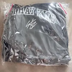 スキズ　dominATE アプグレ 特典