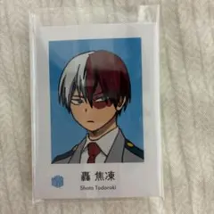 僕のヒーローアカデミア 轟焦凍 ミニカード