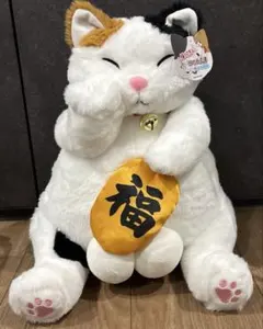 Item thumbnail for item 5edaff3b-9d5f-4a3f-a598-bf2818e279e1