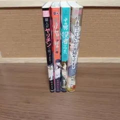 ボーイズラブ　4冊セット