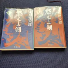 Item thumbnail for item 65d03554-eafd-4468-bb80-ab25396c15f0