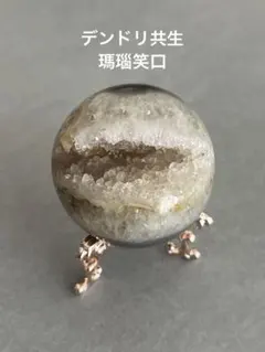 haming様 リクエスト 3点 まとめ商品