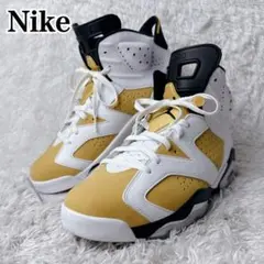 ナイキ【NIKE】ジョーダン6ウィート　　　　　　※2017年製 新品未使用 2026年最新】ジョーダン6 ウィートの人気アイテム - メルカリ