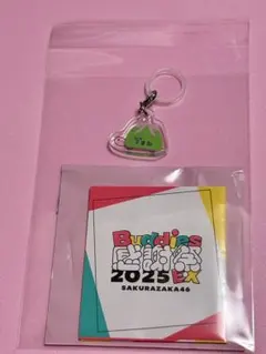 Item thumbnail for item 3275929f-6835-48b3-8507-5a9997a48ff2