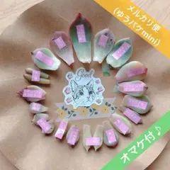 2026年最新】コロラータ ナウアラの人気アイテム - メルカリ