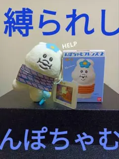 【ちゃむ〜♡♡】おぱんちゅうさぎ♡んぽちゃむきみまろ　縛られしんぽちゃむ