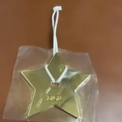 DIOR 星型チャーム 金色