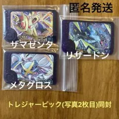 ザマゼンタ ／ リザードン ／ メタグロス