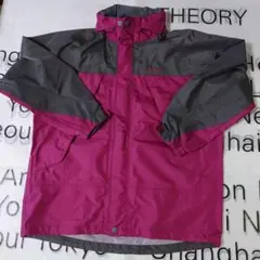 Item thumbnail for item 182caeef-1e36-4e0e-83fb-18237ade9f56