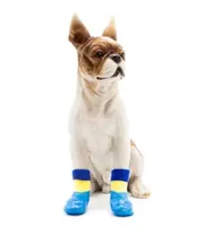 犬 靴 靴下 ソックス