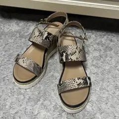 Item thumbnail for item 7f154118-5e04-417c-996d-dafef9a5445f