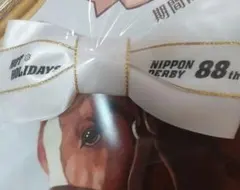 ソメスサドル ドウデュース 第89回日本ダービー 優勝記念品 限定品 ソメスサドル ドウデュース 第89回日本ダービー 優勝記念品