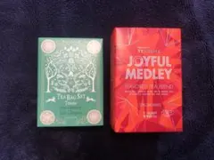 Item thumbnail for item 65fd1a4a-f0f5-4b47-bf20-31bb5ae4cde5