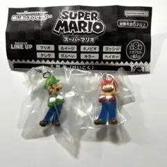 めじるしアクセサリー スーパーマリオ（マリオ&ルイージ）