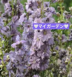 さっちゃん様 リクエスト 5点 まとめ商品