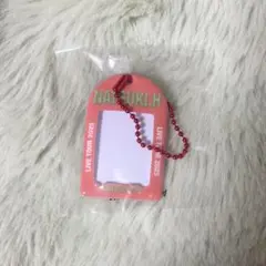 堀夏喜 ミニカードケース