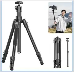 Item thumbnail for item aeb27906-94d8-48d9-bce4-c80eec1d6dcd