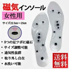 磁気インソール女性用(左右セット)(S、22.5～25cm)快足新品送料無料