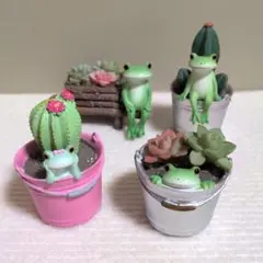 コポー　カエル　サボテン4種のサムネイル