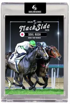 2026年最新】ドバイターフの人気アイテム - メルカリ