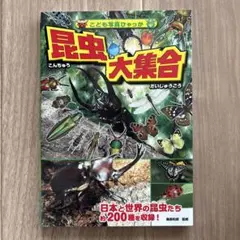 Item thumbnail for item c8ed6ec8-92cd-4cef-8842-d7054b47e1b5