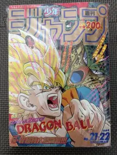 当時物】週刊少年ジャンプ 1991年21・22合併号 ドラゴンボール - メルカリ