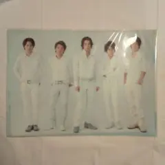 嵐 君と僕の見ている風景 クリアファイル