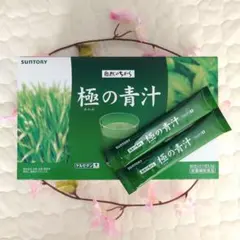 Item thumbnail for item 72d0ed3a-3b82-409c-ba8c-fa598fd3d681