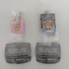 PEANUTS スヌーピー ビスケットミニチュアチャーム クッキー ガチャガチャ
