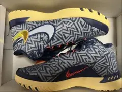28.5cm 新品 NIKE LEBRON NXXT GENISUS EP