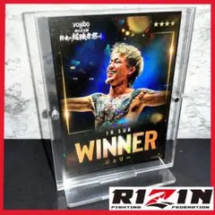 Item thumbnail for item e842c5eb-65c0-478a-b9e4-7a607d34277f