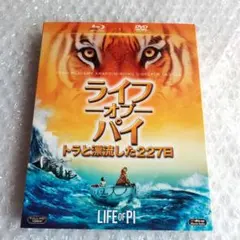 Item thumbnail for item aaacaabd-a271-4d99-91d4-c4143944c3eb