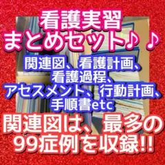 USB 看護学生 実習 関連図 看護計画 ヘンダーソン　アセスメント ゴードン