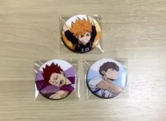 ハイキュー 缶バッジ 10th Anniversary 3種