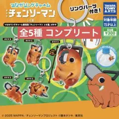 チェンソーマン 劇場版 レぜ篇 つながるリングチャーム ポチタ コンプリート