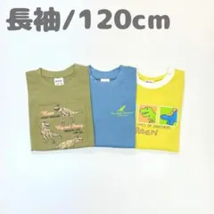 子供服 120cm 男の子 長袖 Tシャツ まとめ売り 恐竜 新品 FWN88