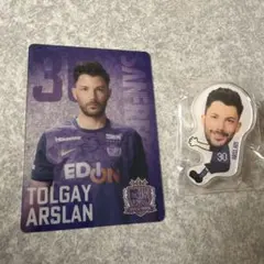 Item thumbnail for item f18aa44a-fe00-4bd3-9b91-f1ffec6678c6