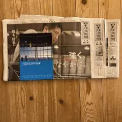 Item thumbnail for item 5d96ac6f-1248-437a-8422-1c65a85d197f