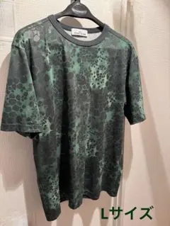 Item thumbnail for item b5cecc82-e99a-4232-8b60-947397d4370c