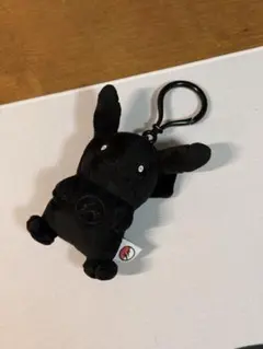 ピカチュウ　フラグメント サンダーボルトプロジェクト