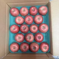 青森県産サンふじ家庭用。減農薬。現物発送！⑦